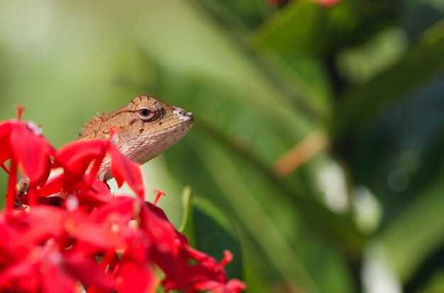 Sightseeing in Nicaragua - Must-See Attractions and Hidden Gems Sightseeing in Nicaragua - Must-See Attractions and Hidden Gems