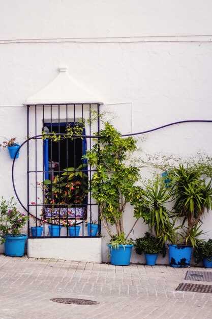 Small Garden Ideas for Nicaragua - Maximizing Your Space